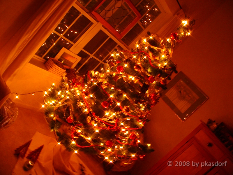 037 A2 Snowfall & Trees [2008 Dec 20].JPG - Our Christmas Trees for 2008.
